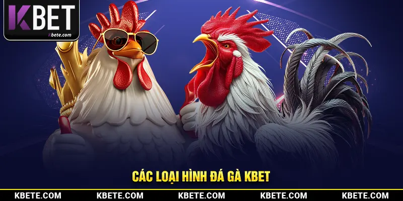 Các loại hình đá gà kbet