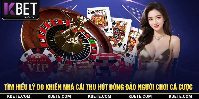 Tìm hiểu lý do khiến nhà cái thu hút đông đảo người chơi cá cược